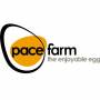 Pace Farm Egg Merchants Minchinbury Directory listings — The Free Egg Merchants Minchinbury Business Directory listings  Business logo