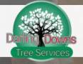 Darling Downs Tree Services Tree Felling Or Stump Removal Hodgson Vale Directory listings — The Free Tree Felling Or Stump Removal Hodgson Vale Business Directory listings  Business logo
