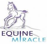 Equine Miracle Pet Care Services Isabella Plains Directory listings — The Free Pet Care Services Isabella Plains Business Directory listings  logo