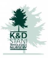K&D Stani Wholesale Nursery Nurseries  Wsale Booral Directory listings — The Free Nurseries  Wsale Booral Business Directory listings  logo