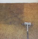 We Do Carpet Cleaning Carpet Or Furniture Cleaning  Protection Prestons Directory listings — The Free Carpet Or Furniture Cleaning  Protection Prestons Business Directory listings  logo