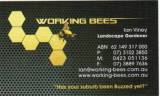 working bees Lawn Cutting  Maintenance Warner Directory listings — The Free Lawn Cutting  Maintenance Warner Business Directory listings  logo