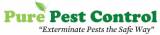 Pure Pest Control Pest Control Little Mountain Directory listings — The Free Pest Control Little Mountain Business Directory listings  logo