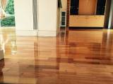 Sunshine Floor Sanding  Home Improvements Condell Park Directory listings — The Free Home Improvements Condell Park Business Directory listings  logo