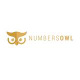 Numbersowl Bookkeeping Services Symonston Directory listings — The Free Bookkeeping Services Symonston Business Directory listings  logo