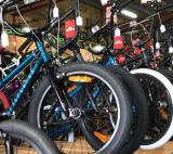 Stead Cycles Bicycles  Accessories  Retail  Repairs Beresfield Directory listings — The Free Bicycles  Accessories  Retail  Repairs Beresfield Business Directory listings  logo