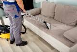 Famous Cleaning Carpets  Rugs  Dyeing Parafield Gardens Directory listings — The Free Carpets  Rugs  Dyeing Parafield Gardens Business Directory listings  logo