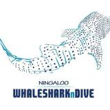 Whale Shark Tours – Ningaloo  Whaleshark-N-Dive  Tourist Attractions Information Or Services Exmouth Directory listings — The Free Tourist Attractions Information Or Services Exmouth Business Directory listings  logo