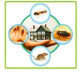 Pest Control Earlwood Pest Control Earlwood Directory listings — The Free Pest Control Earlwood Business Directory listings  logo