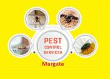 Pest Control Margate Cleaning Contractors  Commercial  Industrial Margate Directory listings — The Free Cleaning Contractors  Commercial  Industrial Margate Business Directory listings  logo