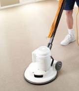 Carpet Cleaning Upper Coomera Charities  Charitable Organisations Upper Coomera Directory listings — The Free Charities  Charitable Organisations Upper Coomera Business Directory listings  logo