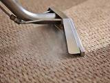 Carpet Cleaning South Yarra Free Business Listings in Australia - Business Directory listings logo