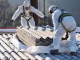 Skip Bins Sunshine Coast Asbestos Removal Or Treatment Maroochydore Directory listings — The Free Asbestos Removal Or Treatment Maroochydore Business Directory listings  logo