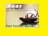 Pest Control Bundall Australiana Products Bundall Directory listings — The Free Australiana Products Bundall Business Directory listings  logo