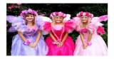 Fairy Wishes Childrens Parties and Corporate Events Sydney Childrens Parties Caringbah Directory listings — The Free Childrens Parties Caringbah Business Directory listings  logo