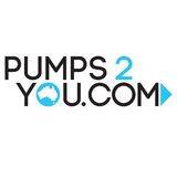 Pumps2You Australia Pumping Contractors Heathcote Directory listings — The Free Pumping Contractors Heathcote Business Directory listings  logo