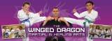 The Winged Dragon Martial & Healing Arts Martial Arts  Self Defence Instruction Or Supplies Epping Directory listings — The Free Martial Arts  Self Defence Instruction Or Supplies Epping Business Directory listings  logo