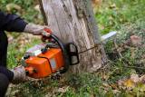 Tree Trimming Adelaide Tree Felling Or Stump Removal Adelaide Directory listings — The Free Tree Felling Or Stump Removal Adelaide Business Directory listings  logo
