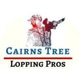 Cairns Tree Lopping Pros Tree Felling Or Stump Removal Edmonton Directory listings — The Free Tree Felling Or Stump Removal Edmonton Business Directory listings  logo