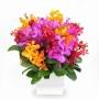 Melbourne Fresh Flowers Florists Supplies Malvern East Directory listings — The Free Florists Supplies Malvern East Business Directory listings  photo 2092