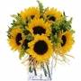 Melbourne Fresh Flowers Florists Supplies Malvern East Directory listings — The Free Florists Supplies Malvern East Business Directory listings  photo 2093