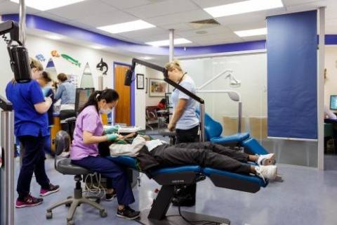 The Orthodontists Orthodontists All States Exc Qld Booragoon Directory listings — The Free Orthodontists All States Exc Qld Booragoon Business Directory listings  The Orthodontists Booragoon