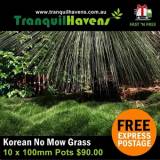 Tranquil Havens Free Business Listings in Australia - Business Directory listings Product Zoysia Tenuifolia 