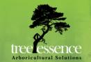 Tree ?Essence - Arborists, Tree Lopping and Tree Removals Business Consultants Nerang Directory listings — The Free Business Consultants Nerang Business Directory listings  Business logo