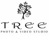 Tree Photo & Video Studio Wedding Photographers South Melbourne Directory listings — The Free Wedding Photographers South Melbourne Business Directory listings  logo