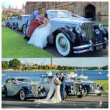 Royalty Wedding Cars Wedding Cars Eastwood Directory listings — The Free Wedding Cars Eastwood Business Directory listings  logo