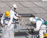 Jonas Fencing & Asbestos Removal Free Business Listings in Australia - Business Directory listings logo