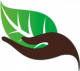 Treestylin- The Tree Specialist  Free Business Listings in Australia - Business Directory listings logo