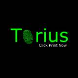 Torius  logo
