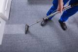 Carpet Cleaning Footscray Business Consultants Footscray Directory listings — The Free Business Consultants Footscray Business Directory listings  logo
