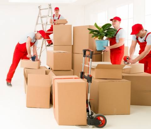 TopGun Movers Packaging Consultants Truganina Directory listings — The Free Packaging Consultants Truganina Business Directory listings  apartment movers melbourne